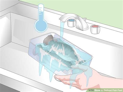 dethaw fish|3 Ways to Defrost Fish Fast .